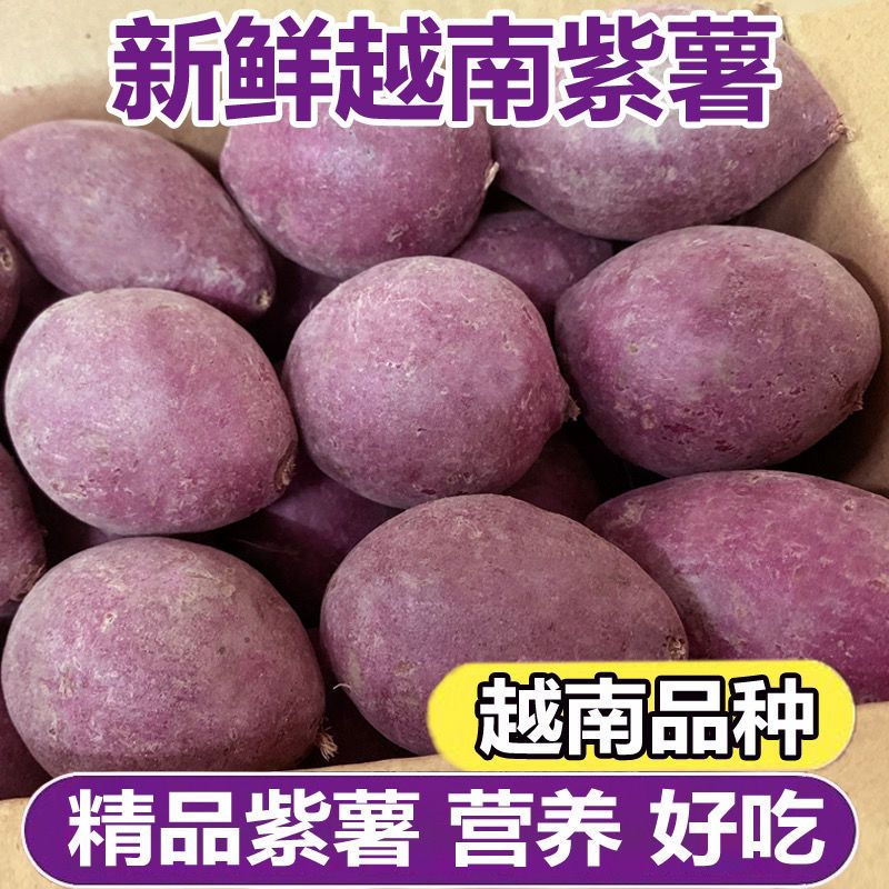 正宗越南小紫薯2/5斤新鲜现挖红薯粉糯板栗薯地瓜番薯圆珍珠紫薯