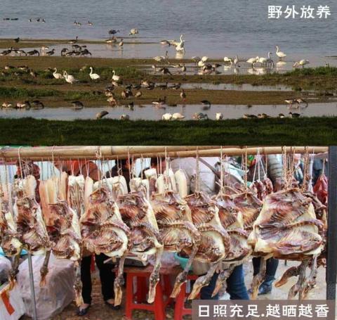 江西德安共青特产志锋板鸭农家腊肉自制年货腊味共青板鸭