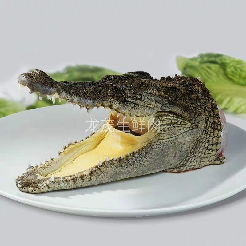 新鲜鳄鱼头 带皮肉 现杀鳄鱼 人工养殖鳄鱼 新-年货