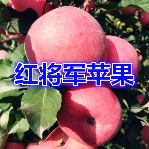 383b3255-d2c2-4311-8e11-9c4ffc3a03dd.jpg