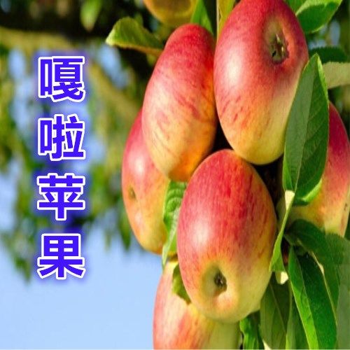 415e5b5d-4cbd-4806-9d57-696b10eb3eb9.jpg