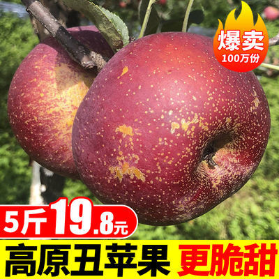 【脆甜多汁】大凉山新鲜盐源丑苹果红富士水果3/5/8斤非昭通苹果