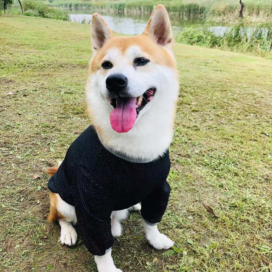 新款狗狗纯棉花色背心柴犬哈士奇秋田柯基边牧田园泰迪比熊狗衣服