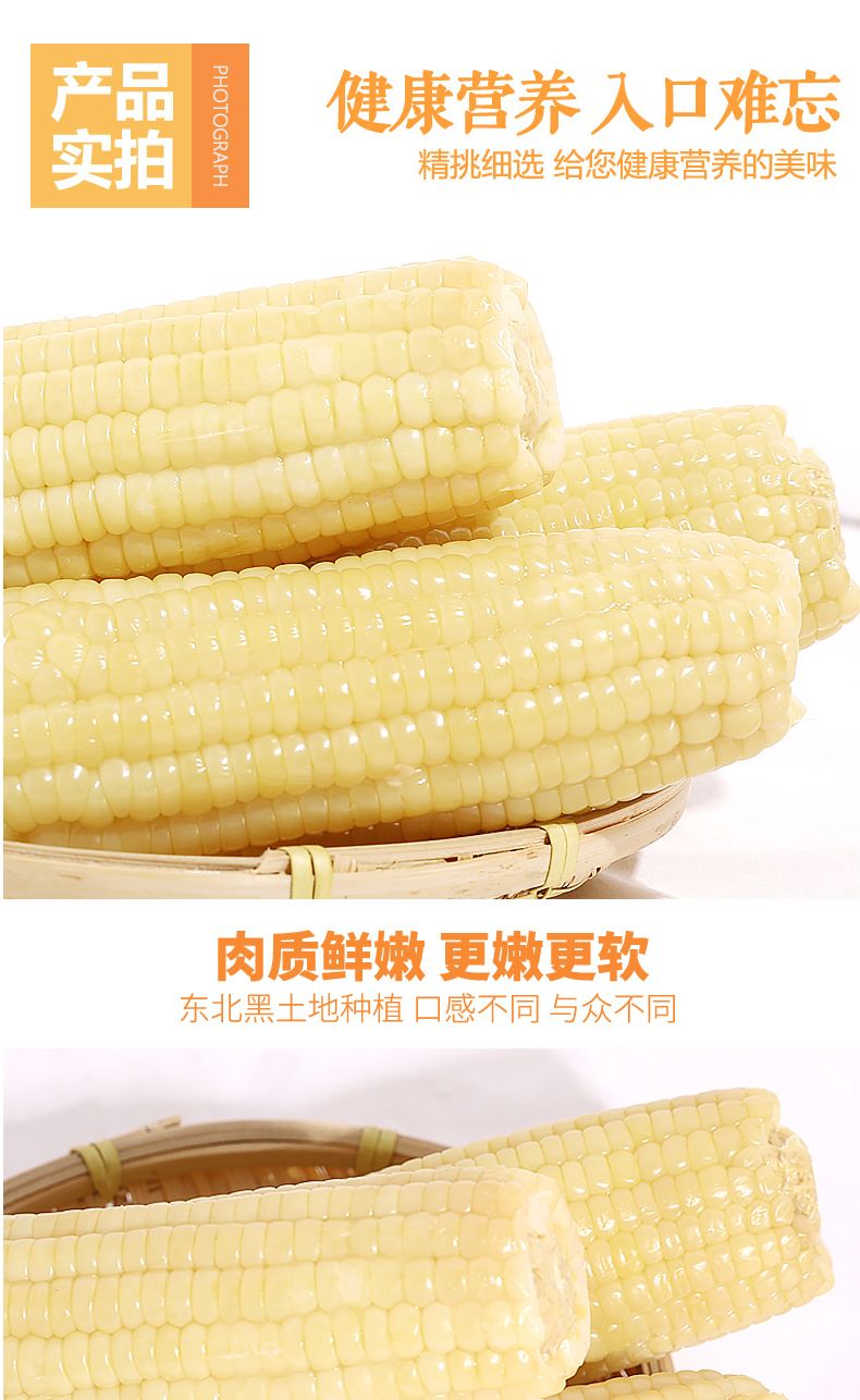 【邮乐特惠装】东北糯玉米真空包装新鲜甜糯玉米即食黄白粘糯玉米