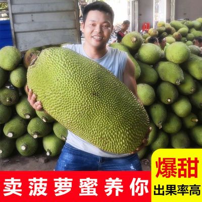 坏果包赔 海南现摘 菠萝蜜新鲜水果木菠萝当季热带波罗蜜假榴莲20