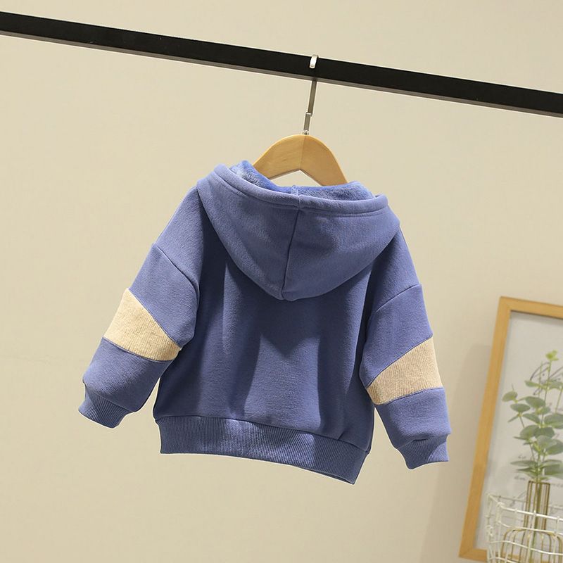 Autumn / winter 2020 boys' thickened casual sweater Korean children's Plush Hoodie fashion baby warm clothes