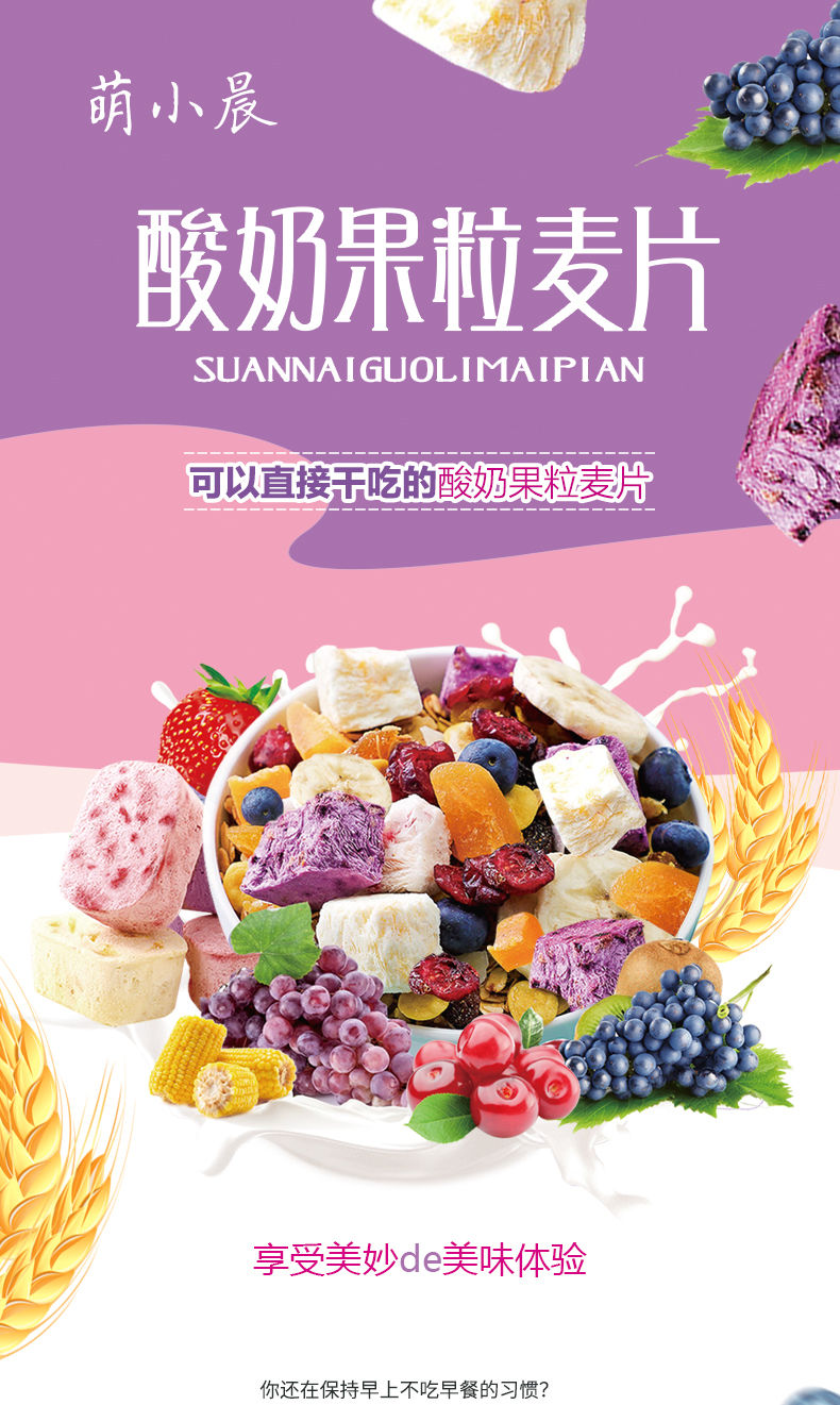 【第二件0.1元】酸奶水果坚果燕麦500gX1罐 干吃即食可拌酸奶代餐