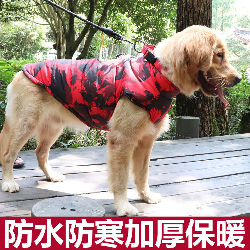 Big dog clothing golden wool cotton padded Labrador Samoye medium sized dog winter thickened pet autumn winter clothes