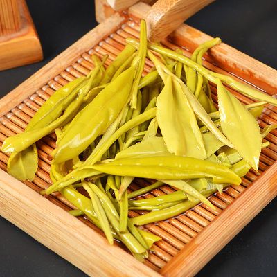 黄金芽