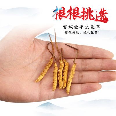 g配礼盒非那曲虫草