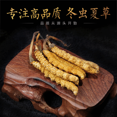g配礼盒非那曲虫草