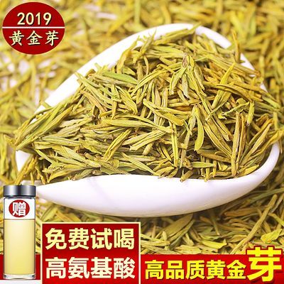 黄金芽