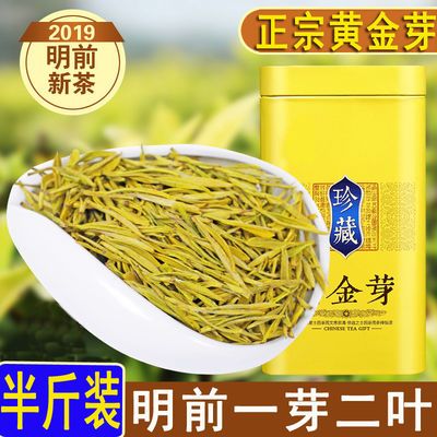 黄金芽