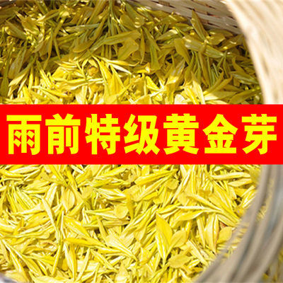 黄金芽