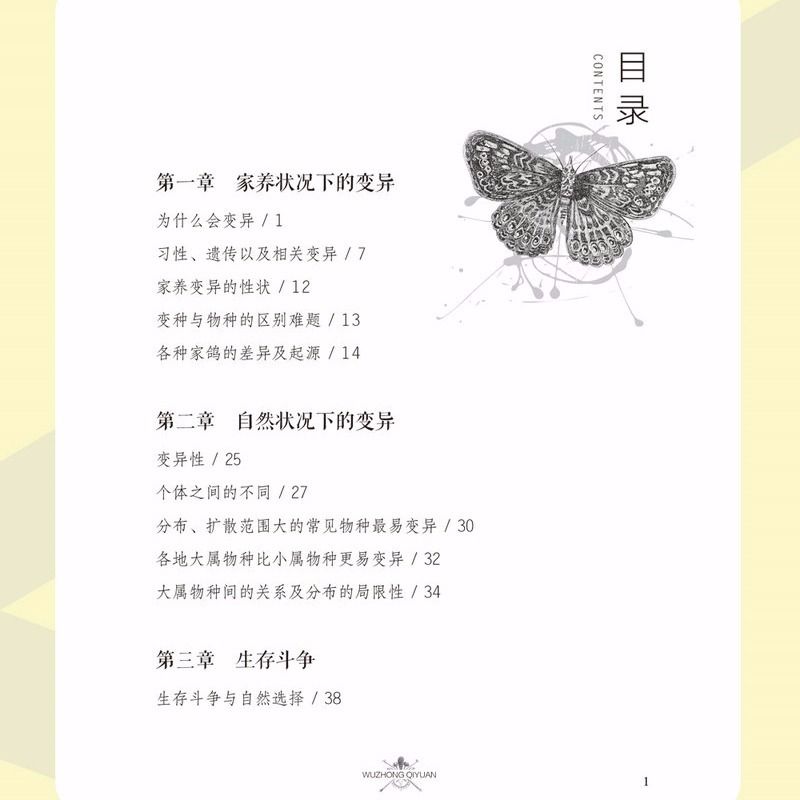 add385a3-4bcb-4b58-a702-51904fcd350f.jpg