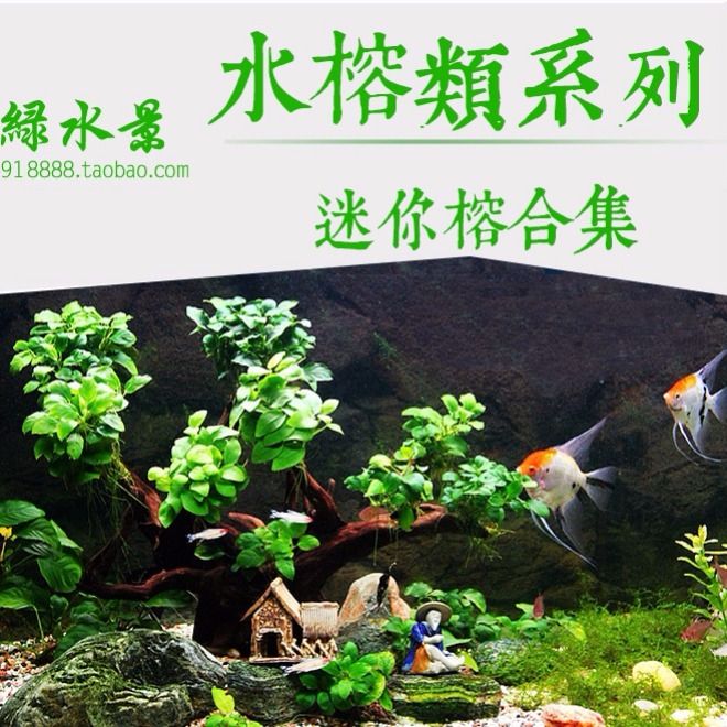 110f88bc-5cca-4720-9f36-fbe3f25c2e6e.jpg