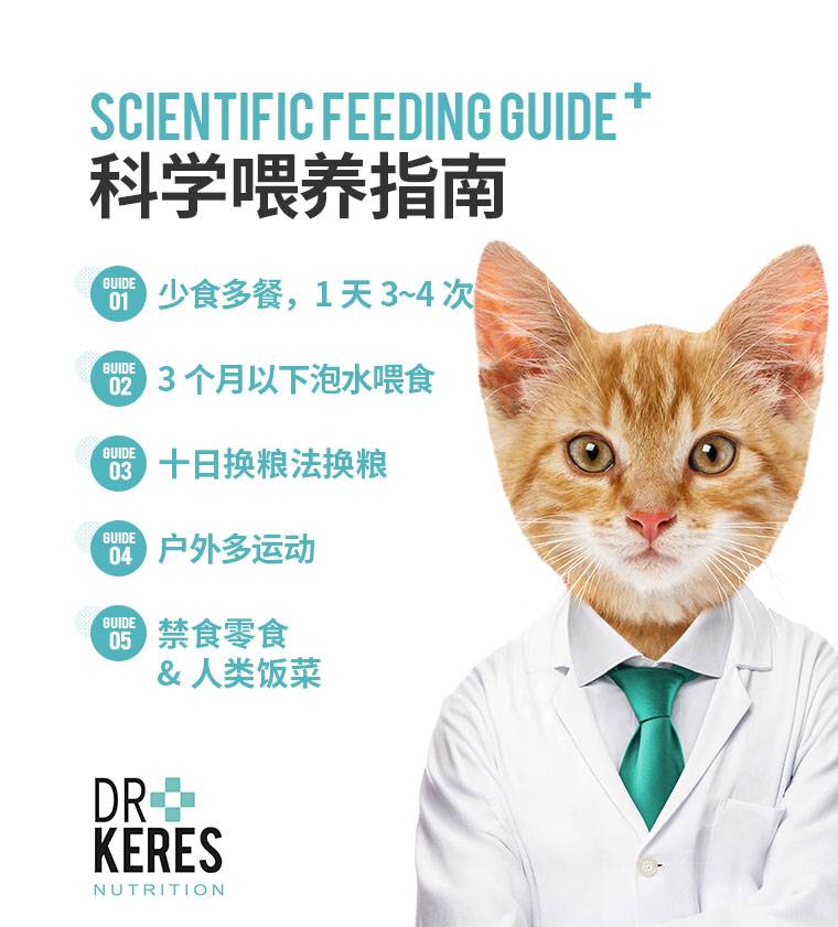 幼猫猫粮0-6个月官方旗舰店 70