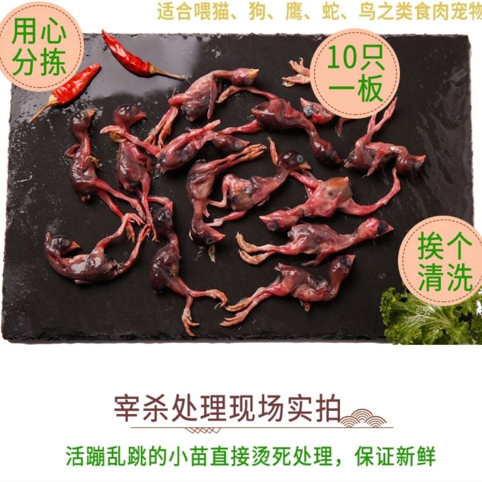 db020c8c-5fa5-47e0-903d-008ab4d7fa47.jpg