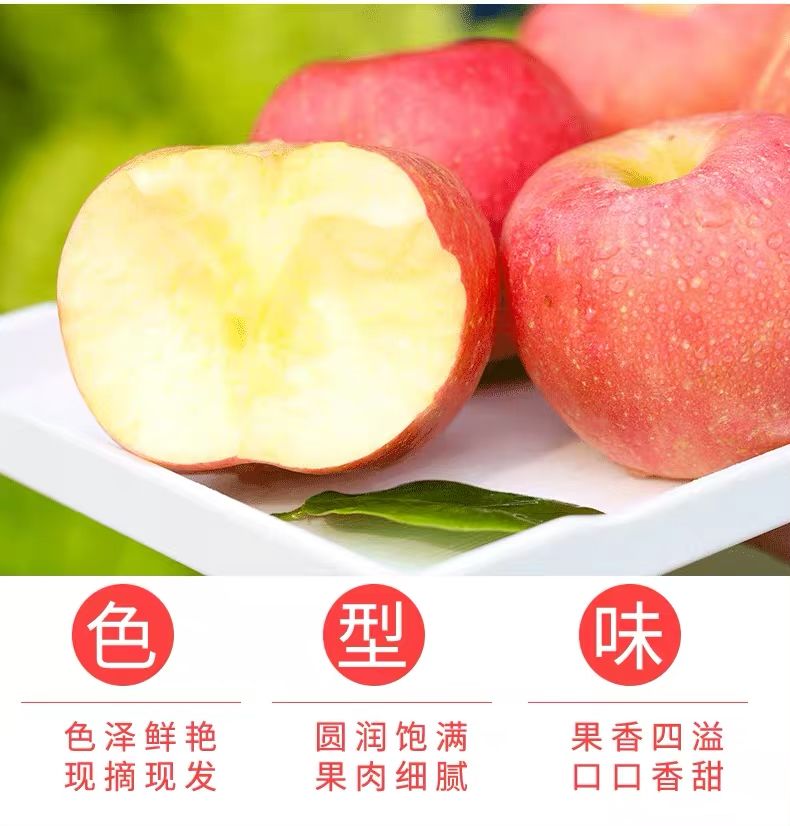 bee1dbdc-0987-4e80-9267-3cc7c93c7023.jpg