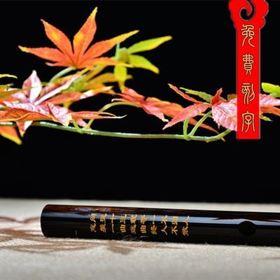 魔道祖师笛子陈情