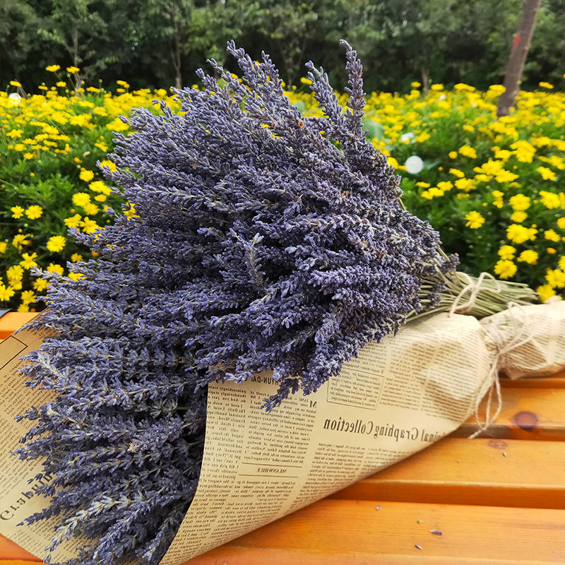 天然薰衣草干花花束安神助眠网红花束香包客厅装饰ins小清新礼物