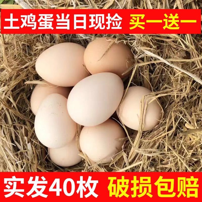 ea56e9b6-afc1-488b-9eb0-b5e277c83dc1.jpg
