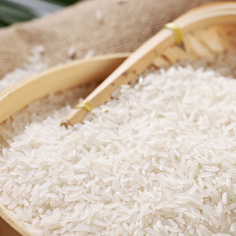 2019新大米10斤生态天然米 晚稻米无抛光现磨农家自产5kg长粒香米