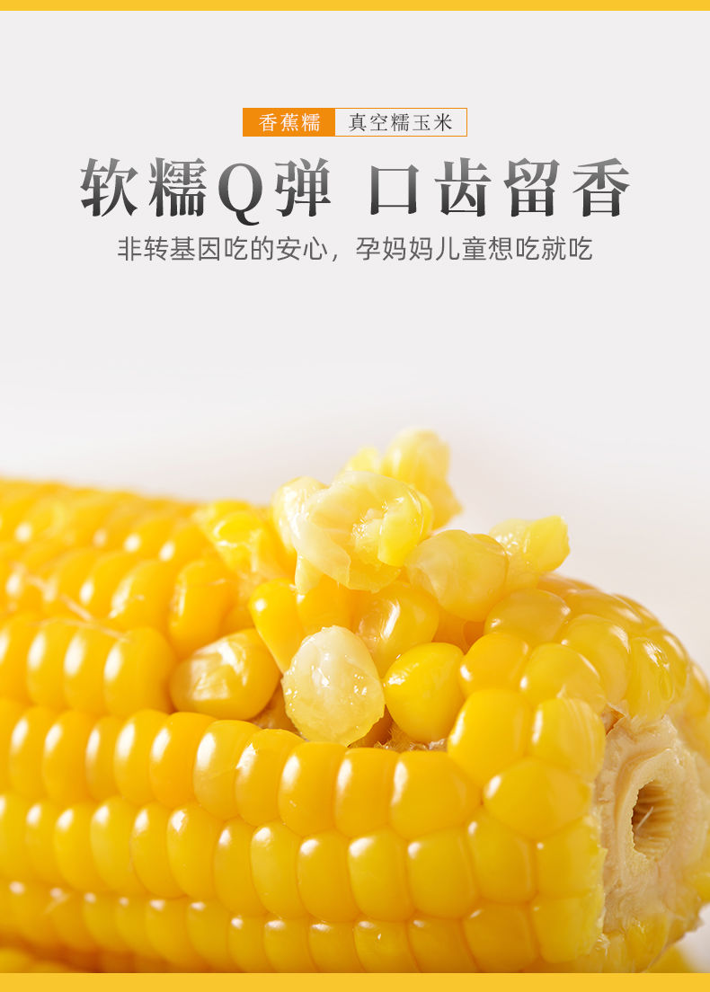 昊伟农庄东北玉米糯玉米新鲜黑龙江粘玉米棒真空即食黏苞米甜玉米