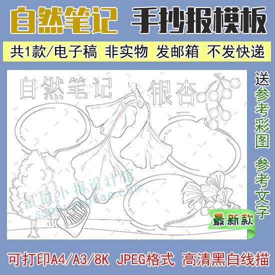 银杏自然笔记黑白描边涂色手抄报模板植物观察日记勾线线描小报