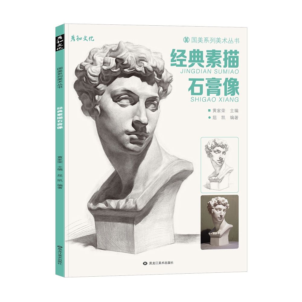 经典石膏头像素描书籍精选临摹画册范本头骨五官面相海盗马赛小卫