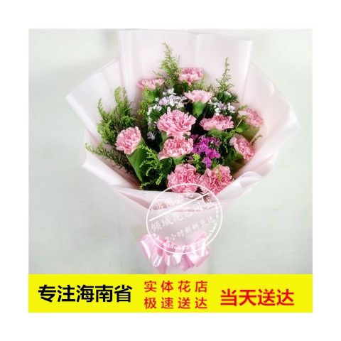 母亲节送妈妈康乃馨花束海南省海口三亚万宁市鲜花