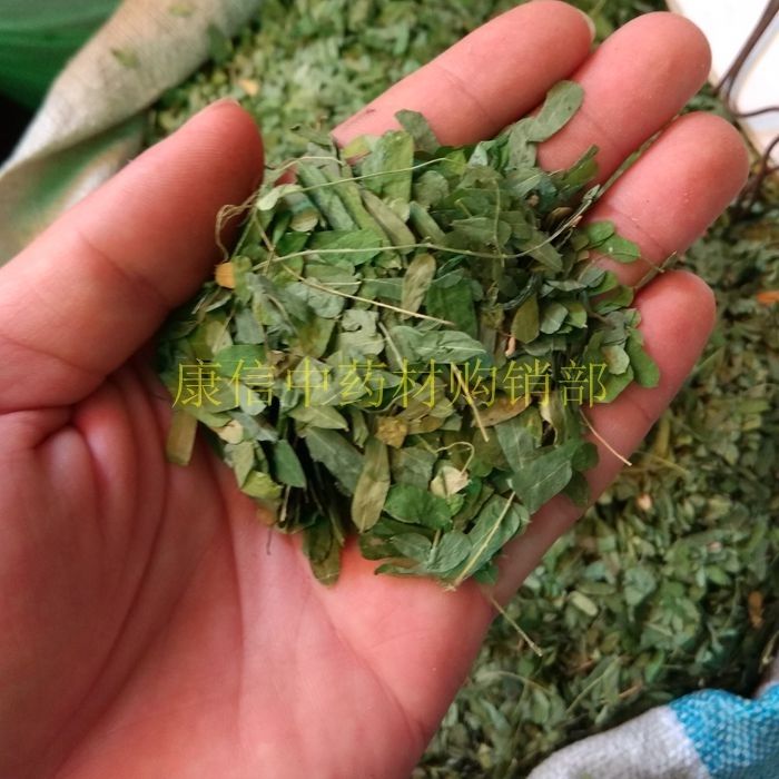 相思叶 中药材500g 泡茶 土甘草,相思子藤,山甘草