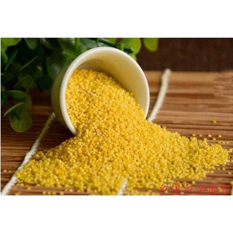 新乡特产辉县山小米靠山红太行金小米2.5kg/袋真空米砖农家杂粮