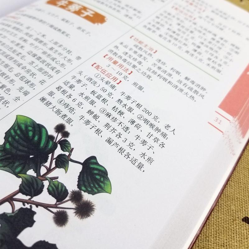 中草药图书大全在线阅读 4a9265e6d8a2015e8537a35ceb07cc8d.jpeg