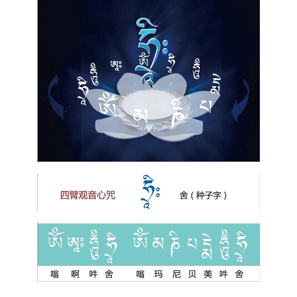 结缘亚青法白莲花四臂观音咒轮种子字舍字观想图画像相纸双面塑封