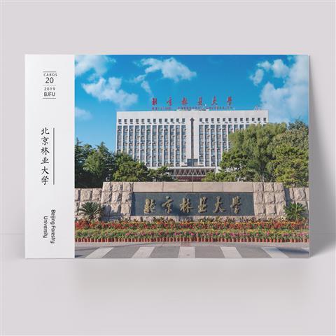 北京林业大学明信片北林明信片北林大明信片一盒20张