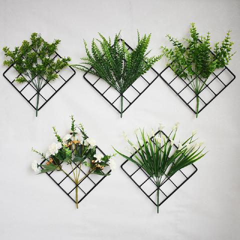 ins风格室内植物 2beab6c5442813e95ea38b48db28533f.jpg