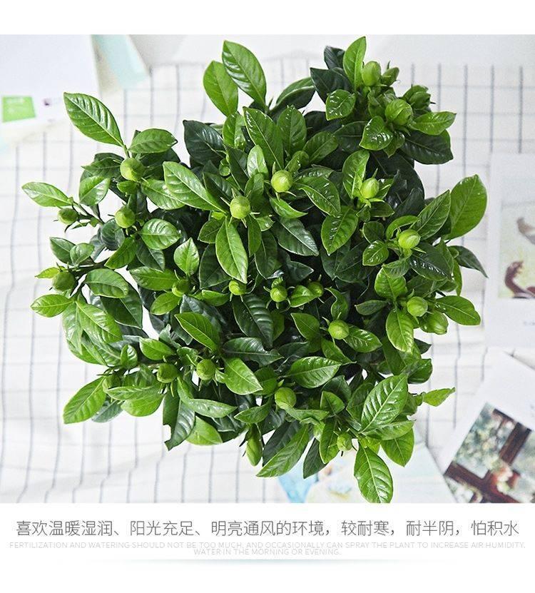 458cdd5e351a77910e08ab9f601530ca.jpg