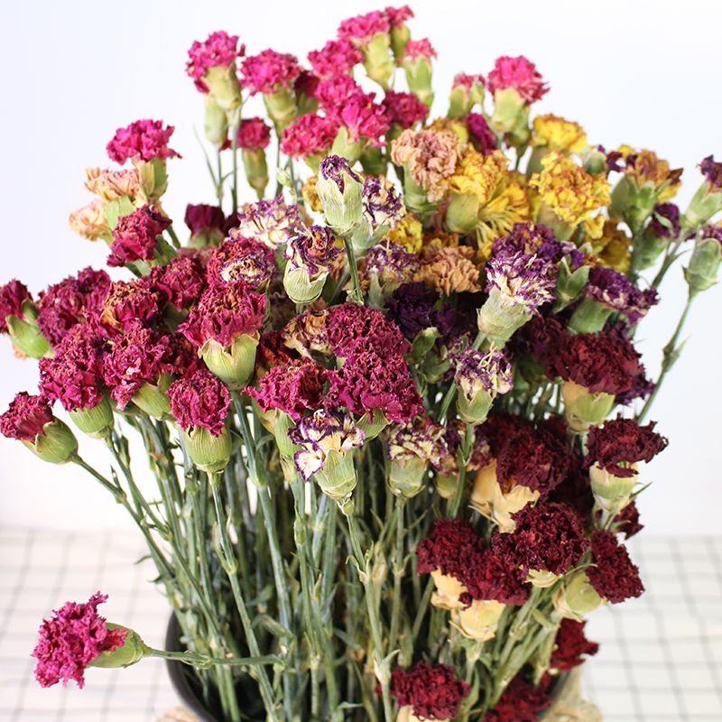 母亲节康乃馨干花云南干花花束真花插花配花diy花束花材一束10【3月20