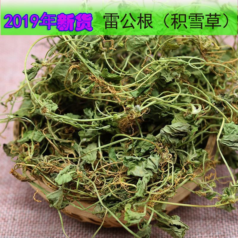 新鲜晒干中药材雷公根崩大碗野生积雪草破铜钱  售天胡荽 满天星