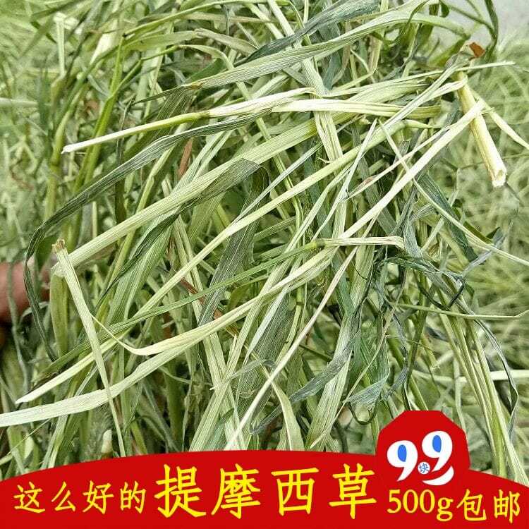 买四送一提摩西草兔子干草豚鼠牧草龙猫粮草500g特级提草提木西草