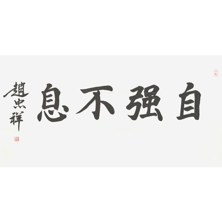 赵忠祥自强不息68*136cm四尺整收藏名人墨迹书法可提供鉴定证书