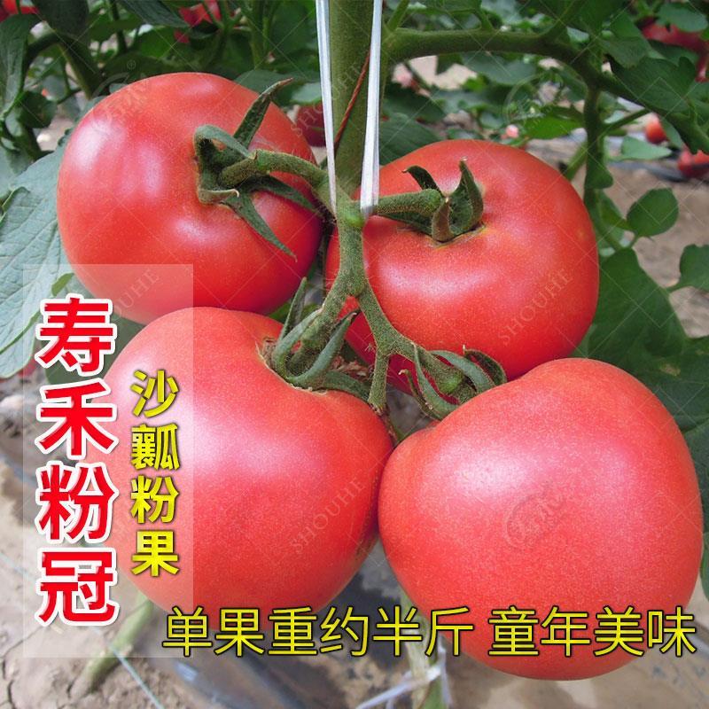 7ff9c57a290f603f5e8bc8a2cebe1dd7.jpeg