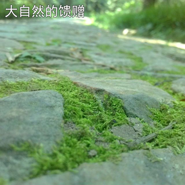 81395bd5c947c199e1005c708013c851.jpeg