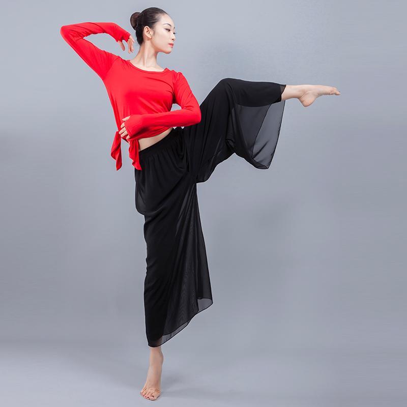 舞蹈练功服装女套装成人教师现代中国古典民族舞形体秋冬长袖上衣