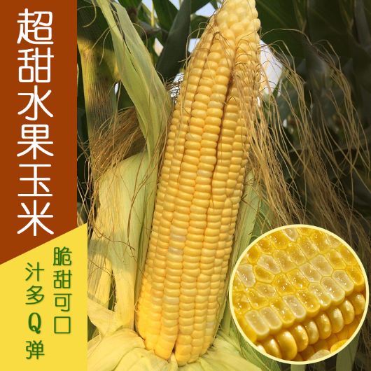 d4ab643f17cf9c777f09f03bf2ebfd47.png