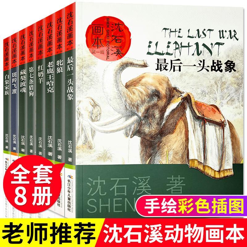 全套8册沈石溪动物小说画本系列全集正版最后一头战象斑羚飞渡儿