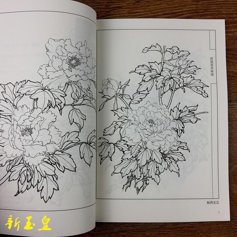 中国画名家白描折枝花卉画谱书线描技法工笔画荷花牡丹百合芙蓉花