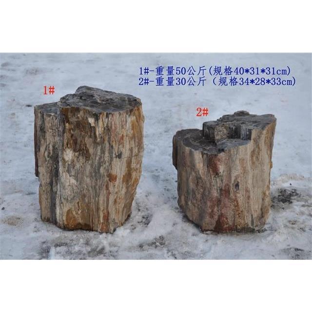 新疆戈壁沙漠木化石原石硅化木摆件每个1200包邮