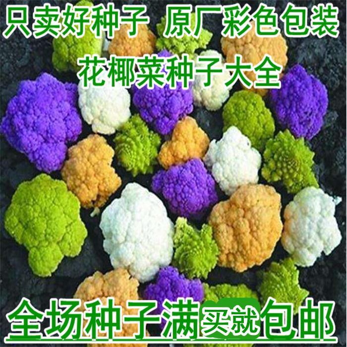 花椰菜种子花菜椰菜花菜椰花菜甘蓝花洋花球花甘蓝西兰花蔬菜种籽 虎窝拼